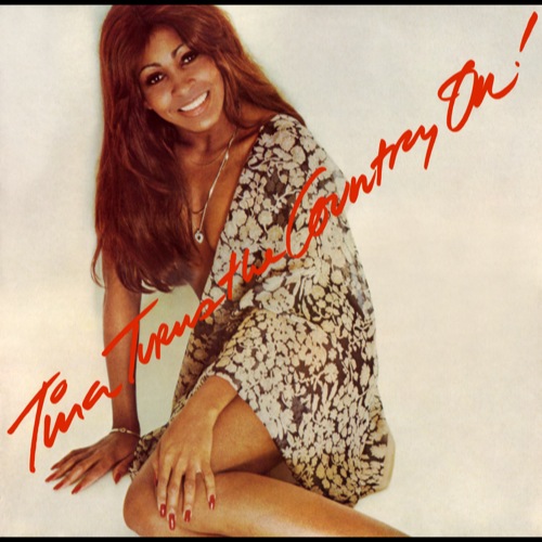 Tina Turner - Tina Turns The Country On