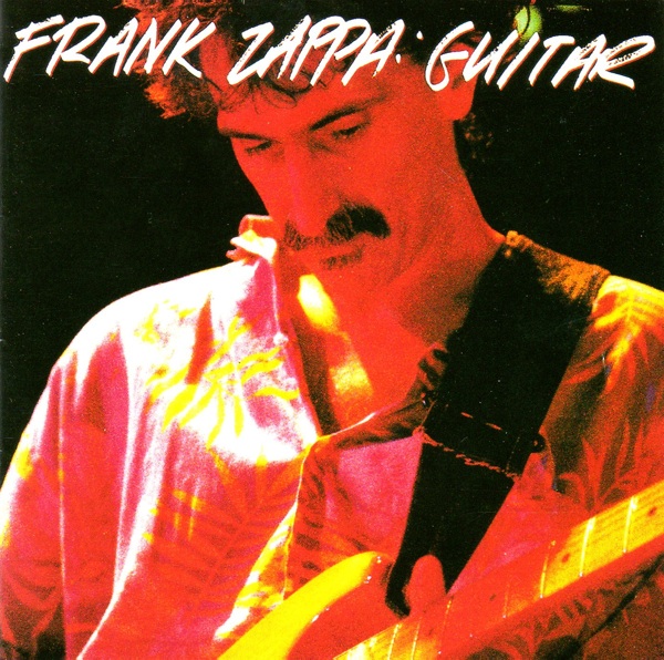 Frank Zappa - Guitar