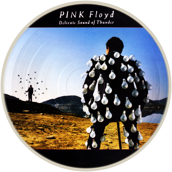 Pink FLoyd -  Delicate Sound of Thunder