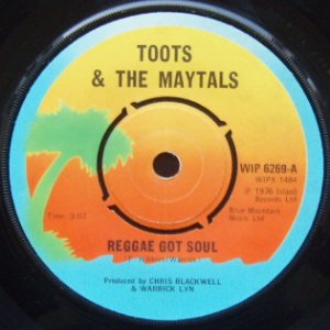 Toots & The Maytals - Reggae Got Soul