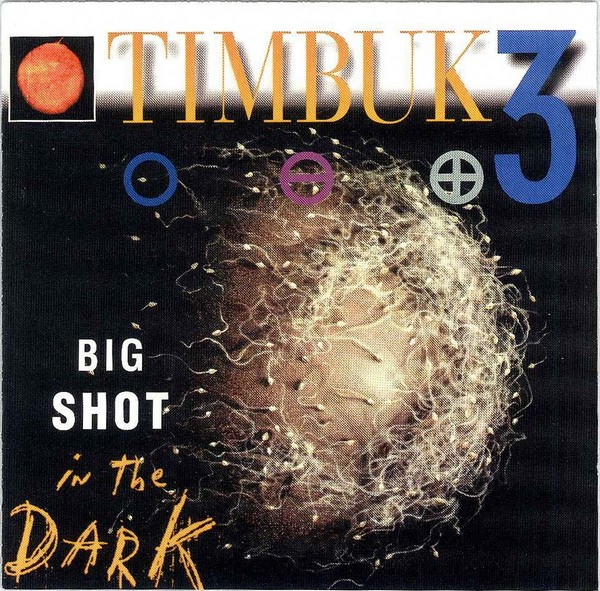 Timbuk 3 - Big Shot In The Dark