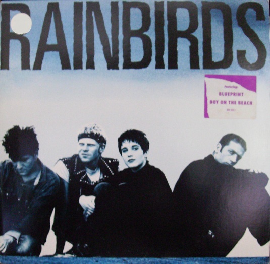 Rainbirds