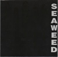 Seaweed