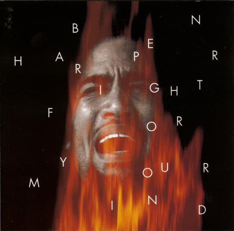 Ben Harper - Fight For Your Mind