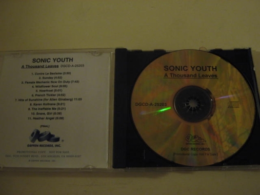 Sonic Youth - A Thousand Leaves