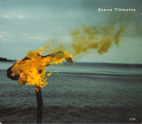 Steve Tibbetts - A Man About A Horse