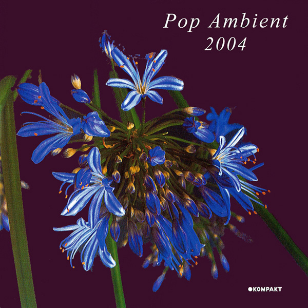 Pop Ambient 2004