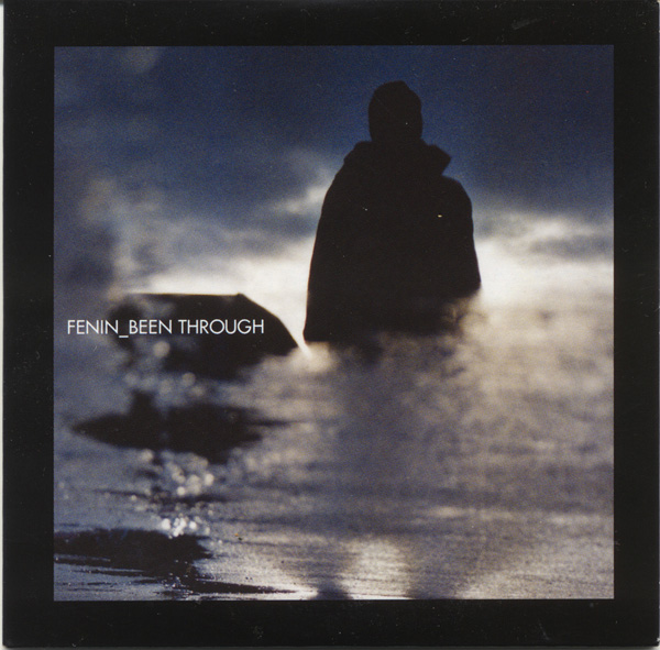 Fenin - Been through