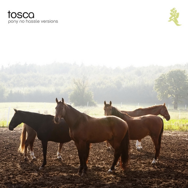 Tosca - Pony