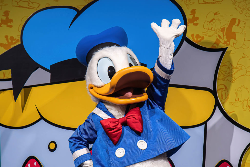 Wurde durch einen ­technischen Unfall kurzzeitig zum Genie: Donald Duck.