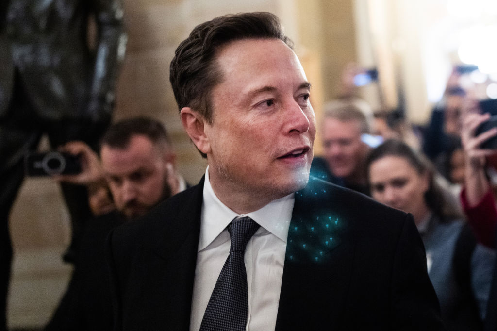 Was Elon Musk mit Elton John, Musik und Moschusochsen gemeinsam hat